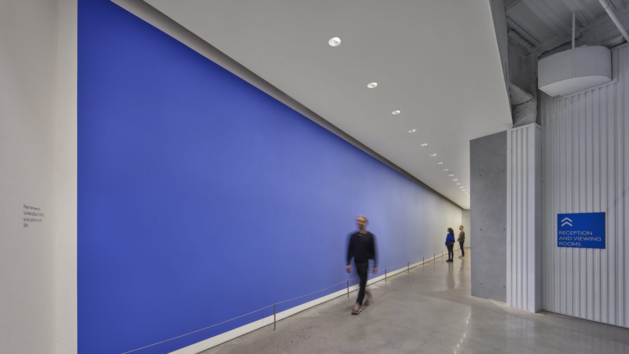 Blue Wall Inside of UOVO Long Island City Location