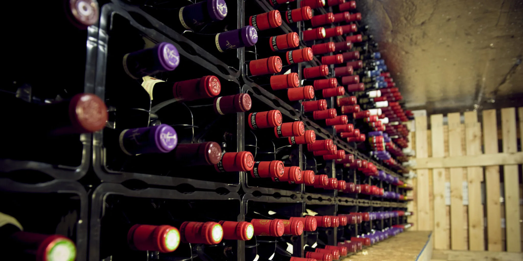 UOVO Wine — New York — photo from the business website