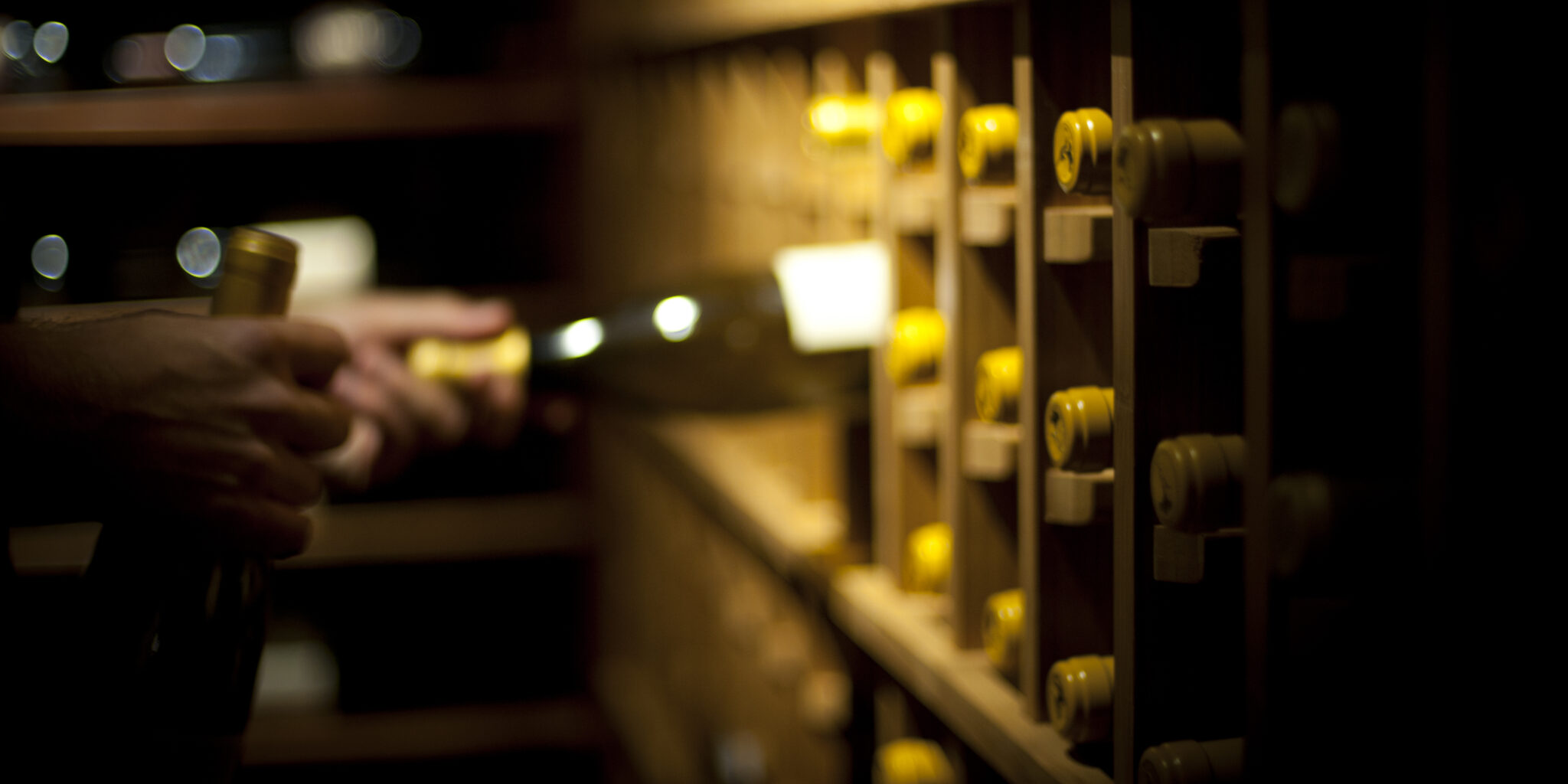 UOVO Wine Cellar